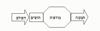 עץ הדת ועץ הדעת