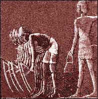חריש ידני - החקלאות בתקופת מצרים הקדומה