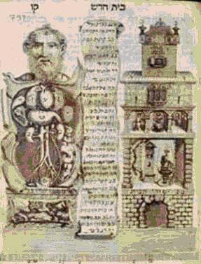 ציור אנאטומי של גוף האדם