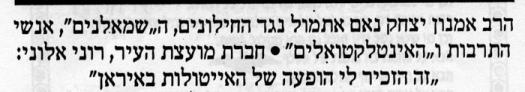 אמנון3